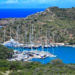 BVI registered agent